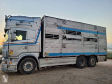 Camión remolque ganadero para ganado bovino Scania R 620