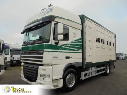 DAFXF105