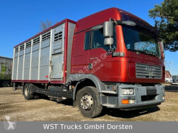 Camión MAN TGM TGM 15.280 BL Finkl Einstock remolque ganadero usado