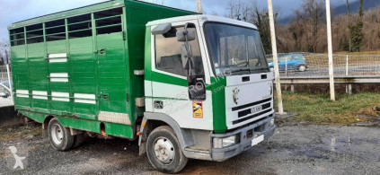 Iveco 65.12 truck used livestock trailer
