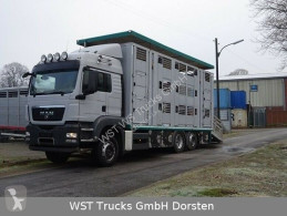 Vrachtwagen MAN TGX TGX 26.440 LXL Menke 3 Stock Vollalu tweedehands vee aanhanger