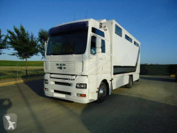 Camion MAN TGA 18.430 van à chevaux occasion