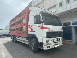 camion transport bovine Volvo
