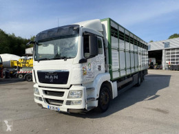 camion transport bovine MAN