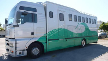 camion furgonetă transport cai Mercedes