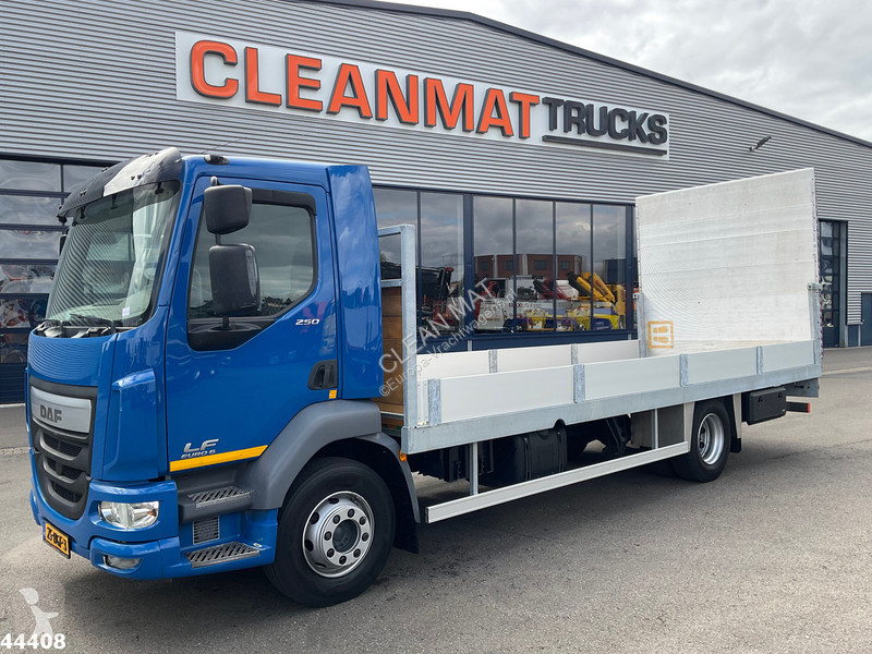 Camion DAF FA 250 Euro 6 Autotransporter met...