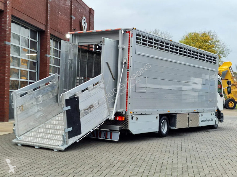 Camion Renault D210 4x2 - NEW - Pezzaioli 1...