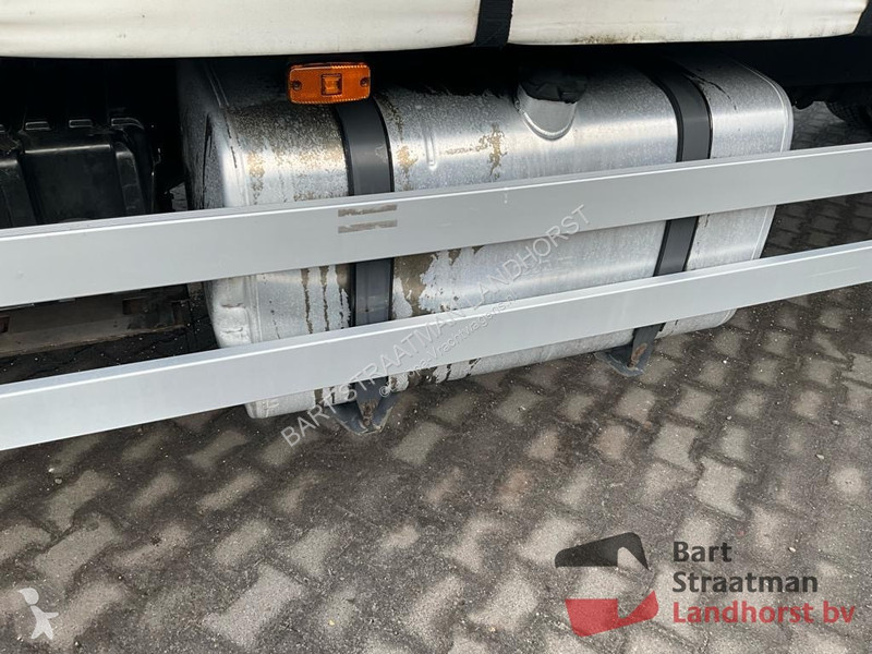 Camion DAF 250 FA 4x2 Euro 6 truck with tail lift