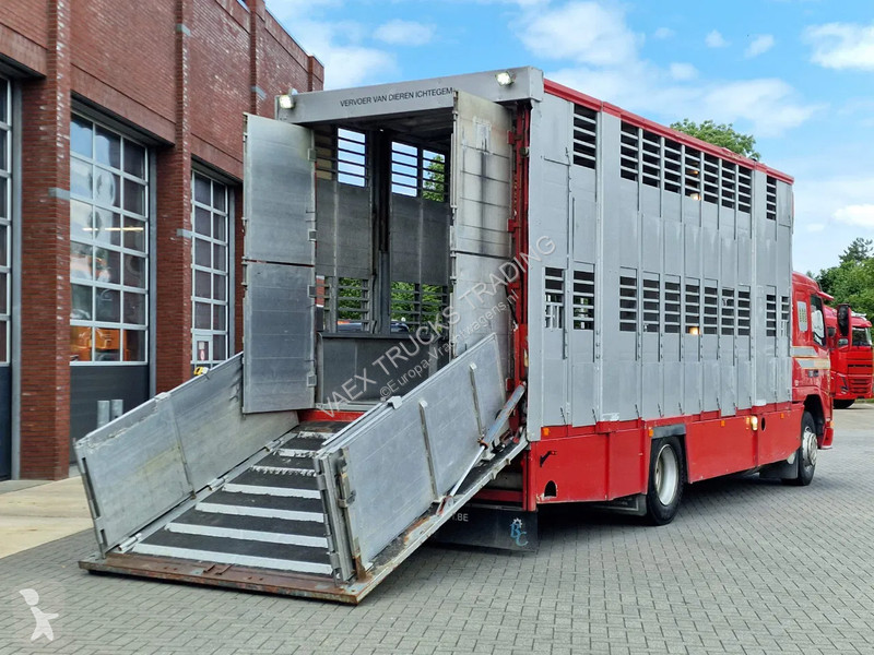 Camión Volvo 250 4x- Livestock 2 deck - Lifting...