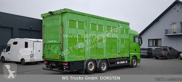 Lastbil MAN TGX XL KABA  3 Stock Viehtransporter