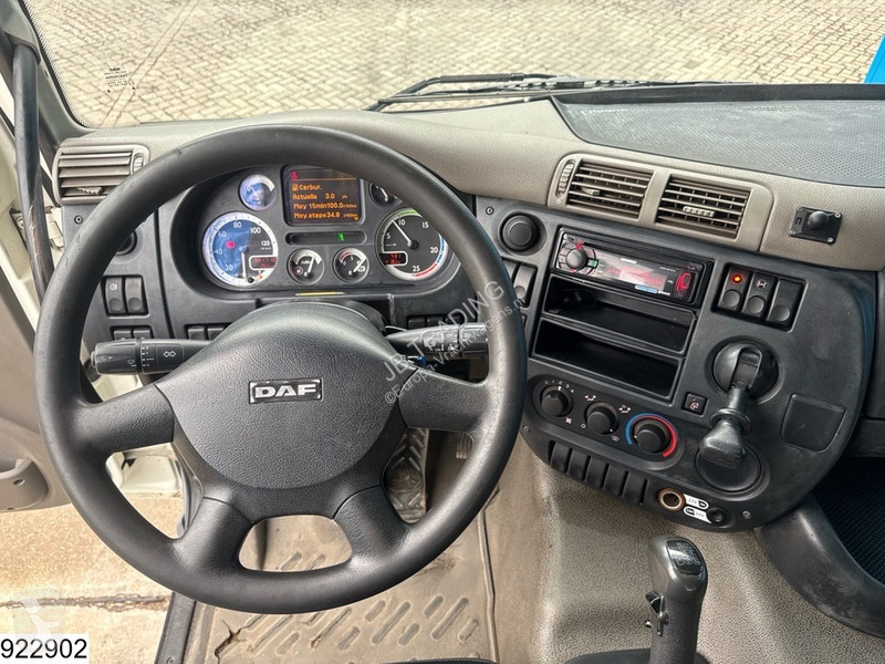 Kamion DAF 410 6x4, EURO 5, Palfinger, Steel...