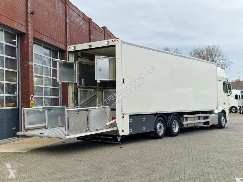 شاحنة DAF 440 SuperSpaceCab 6x2*4 - 2 deck...