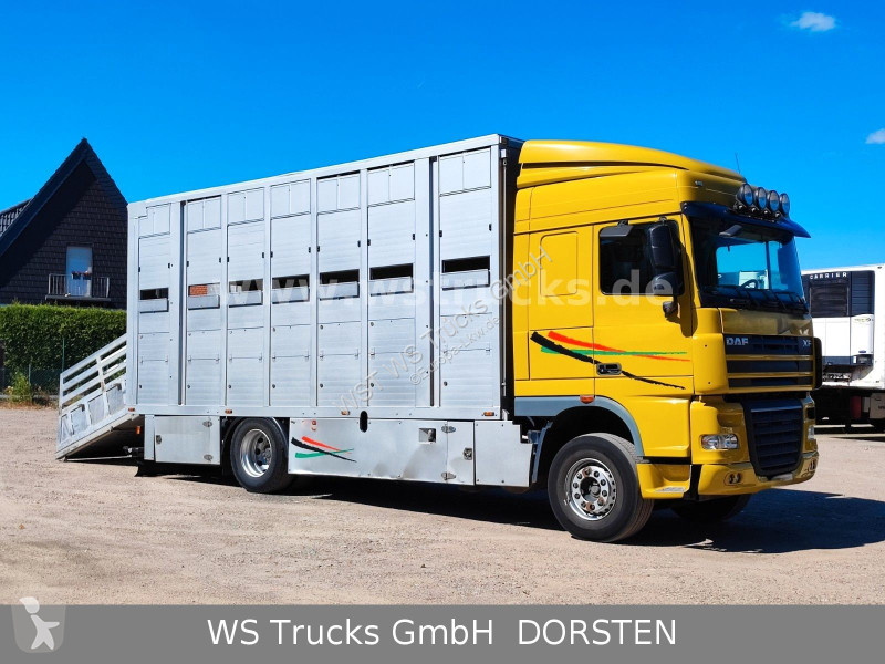 شاحنة DAF 410 SC Menke Doppelstock