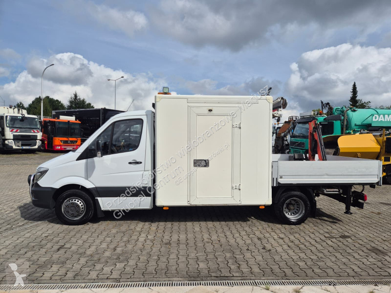 Camión Mercedes Sprinter 516 / Palfinger HDS /...