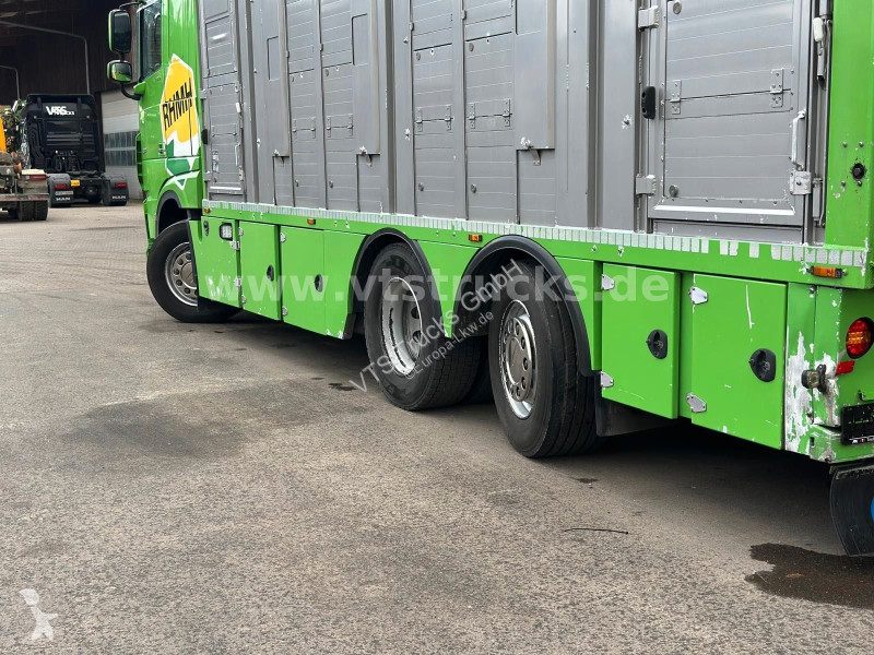 Camion DAF 480 LL 6x2 3.Stock Menke Viehwagen...