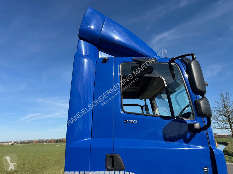Camion DAF 250 250.19 EURO6. Chassic cabine