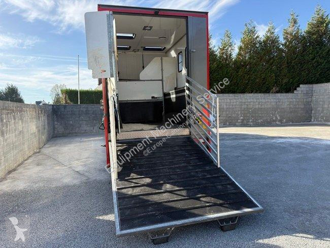 DAF VAN A CHEVAUX 7 PLACES - DAF truck