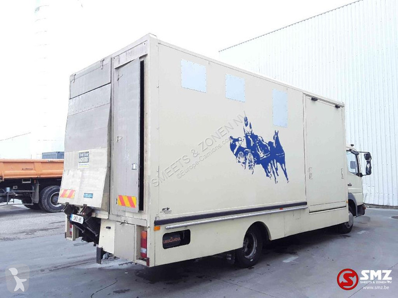 Camion Mercedes 815