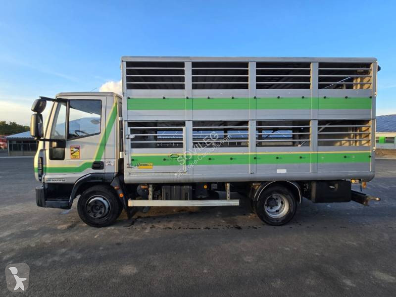 Camion Iveco