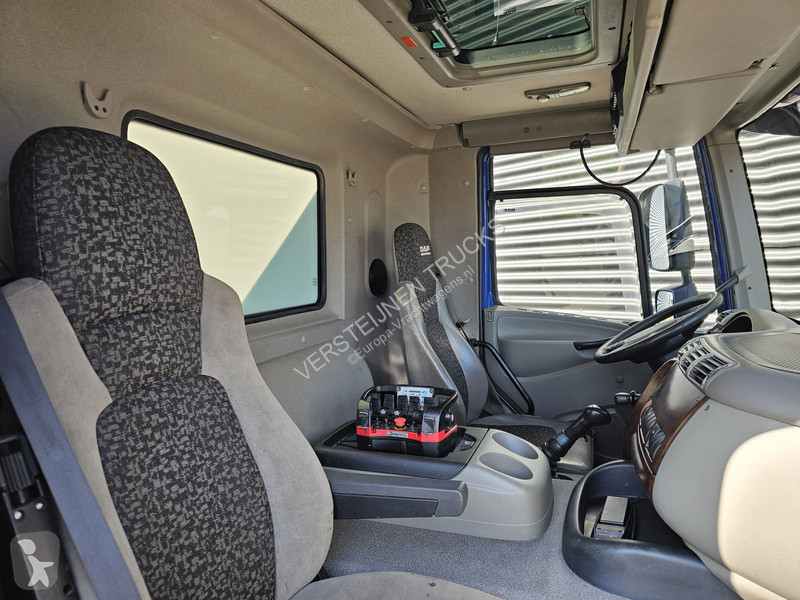 Kamion DAF 460 / 6x2 / PALFINGER 29TM / CRANE /...