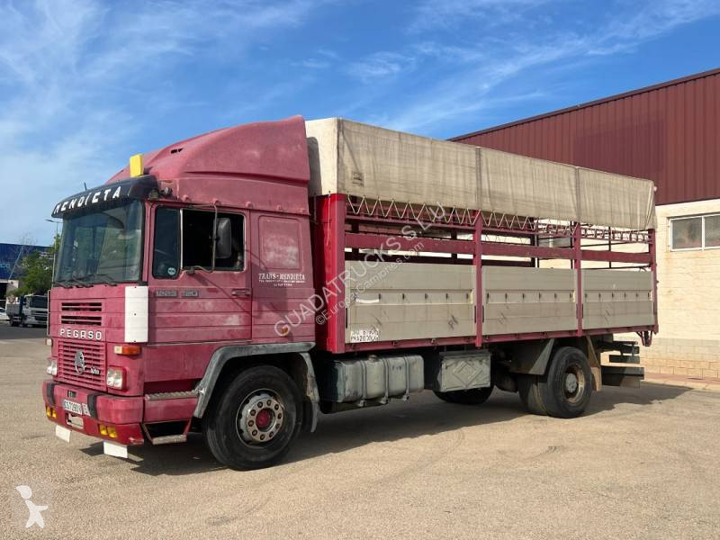 Camion Pegaso Semi Tautliner