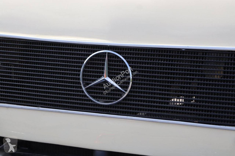 Camion Mercedes 401.104