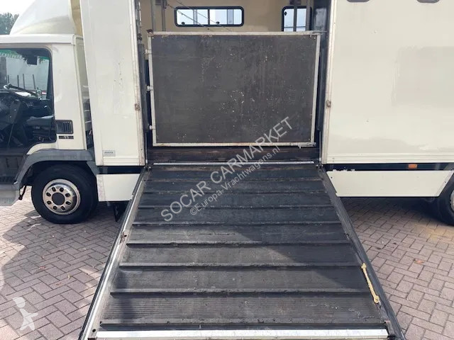 Lastbil DAF LF CLEAN HORSES NL-TRUCK