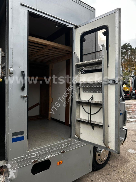 شاحنة Mercedes 4x2 4Pferdetransporter