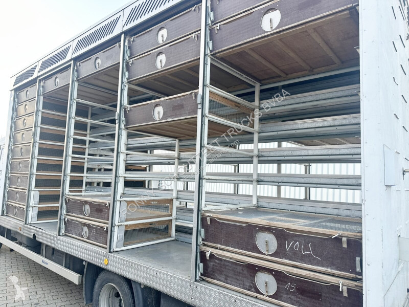 شاحنة Mercedes LK 817 4x2 LK 817 4x2,...