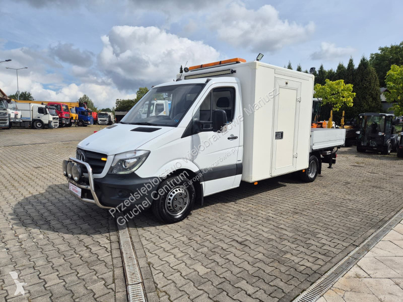 Camión Mercedes Sprinter 516 / Palfinger HDS /...