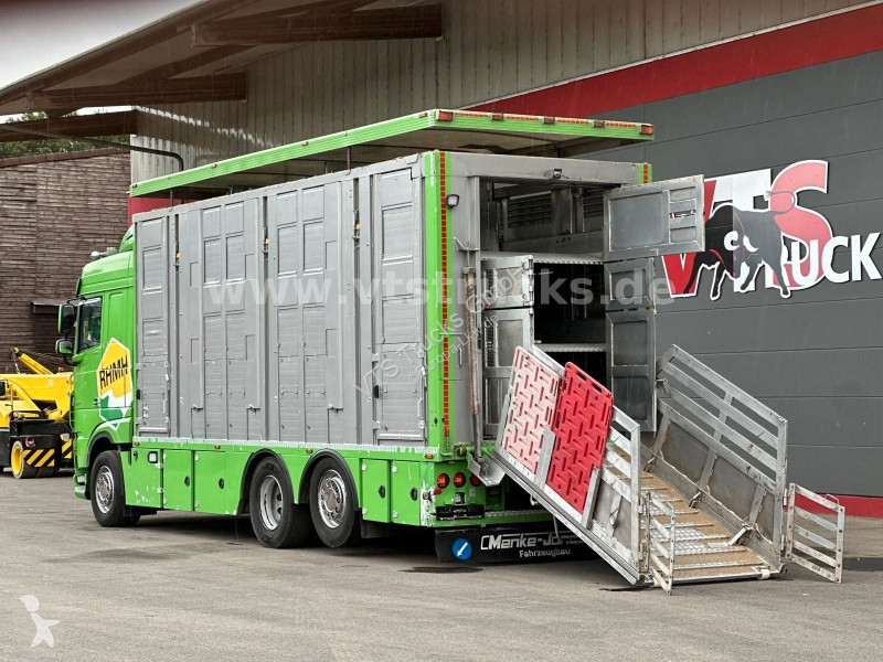 Camion DAF 480 LL 6x2 3.Stock Menke Viehwagen...