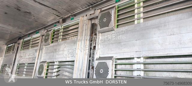 Lastbil MAN TGX XL KABA  3 Stock Viehtransporter
