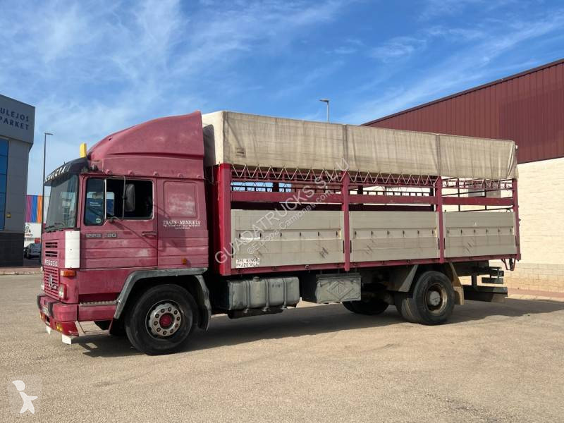 Camion Pegaso Semi Tautliner
