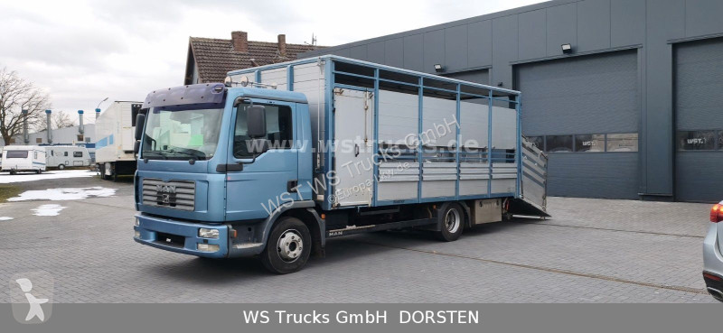 شاحنة MAN 10.210 1 Stock Viehtransporter