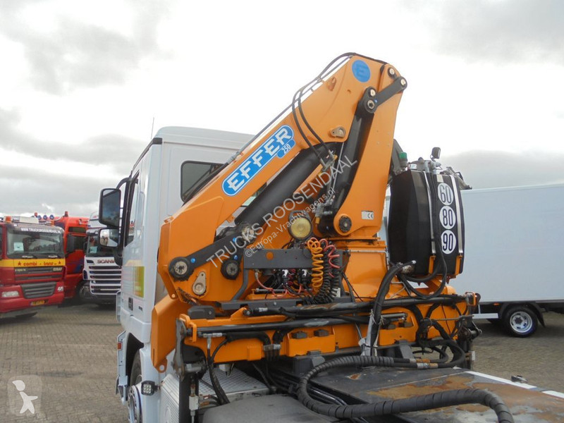 Camion Mercedes 1846 + Euro 5 + EFFER 250 Crane...