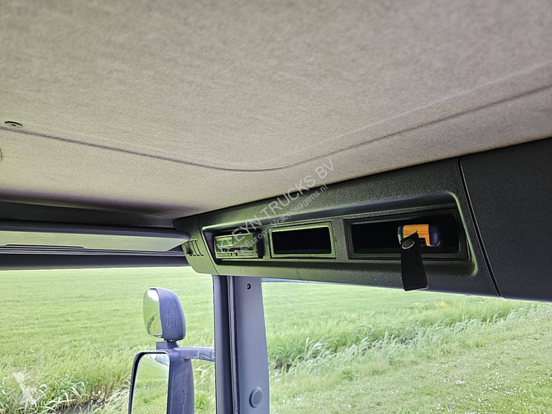 Camion Scania P250 4X2 TAIIFT