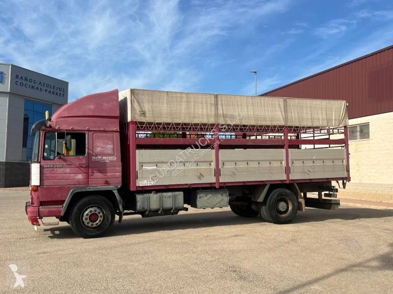 Camion Pegaso Semi Tautliner