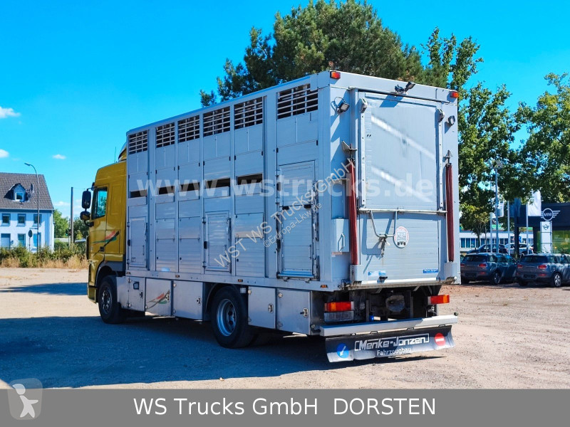 شاحنة DAF 410 SC Menke Doppelstock
