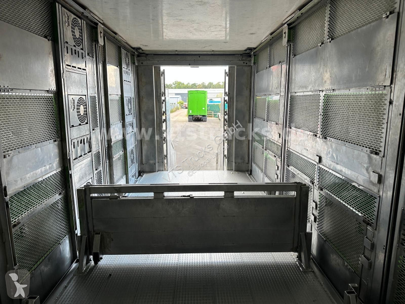 شاحنة MAN TGX 6x2 3.Stock Cuppers, Lenk-/Lift