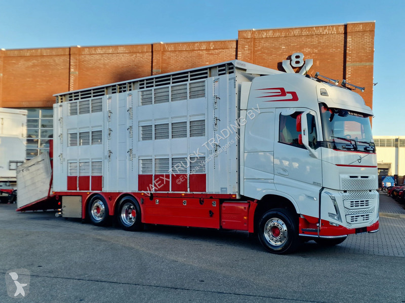 Kamion Volvo 13500 XL 6x2 - Pezzaioli livestock...