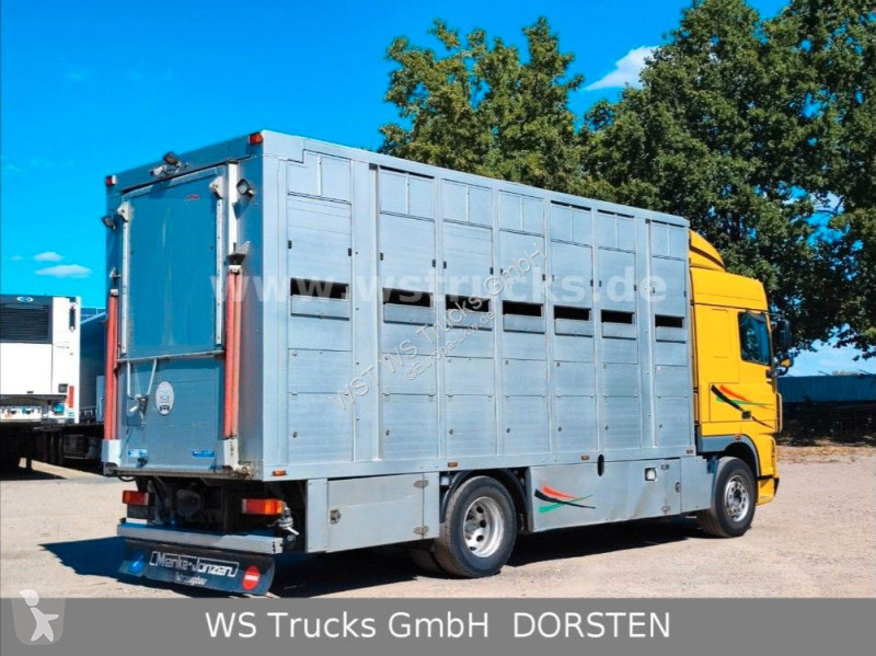Camión DAF 410 SC Menke Doppelstock