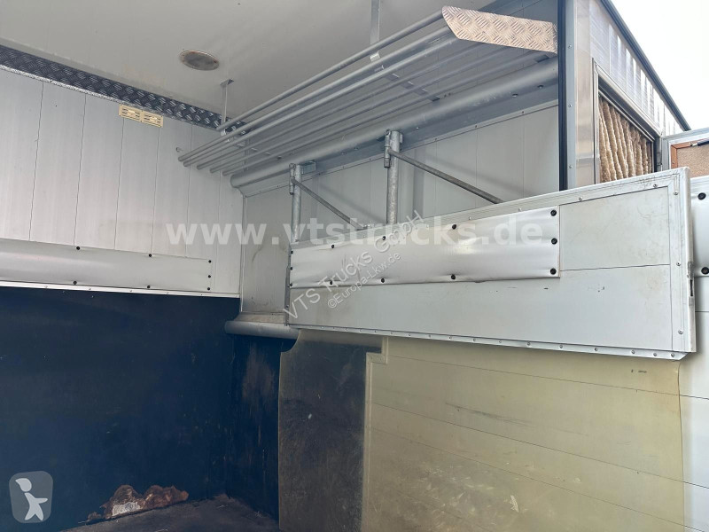 Camion Renault Maxi 160CDi BÖCKMANN 3 Pferde...