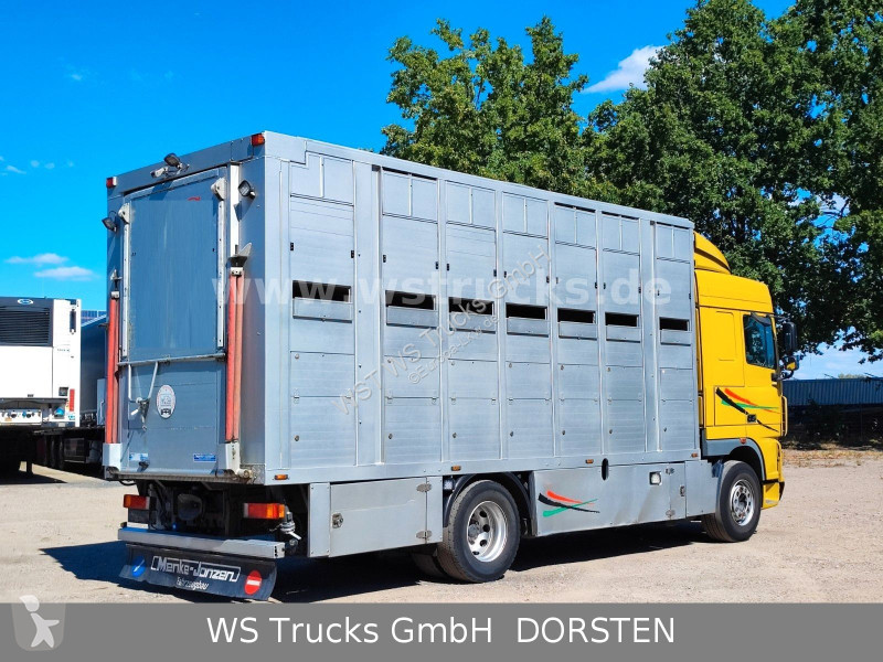 شاحنة DAF 410 SC Menke Doppelstock
