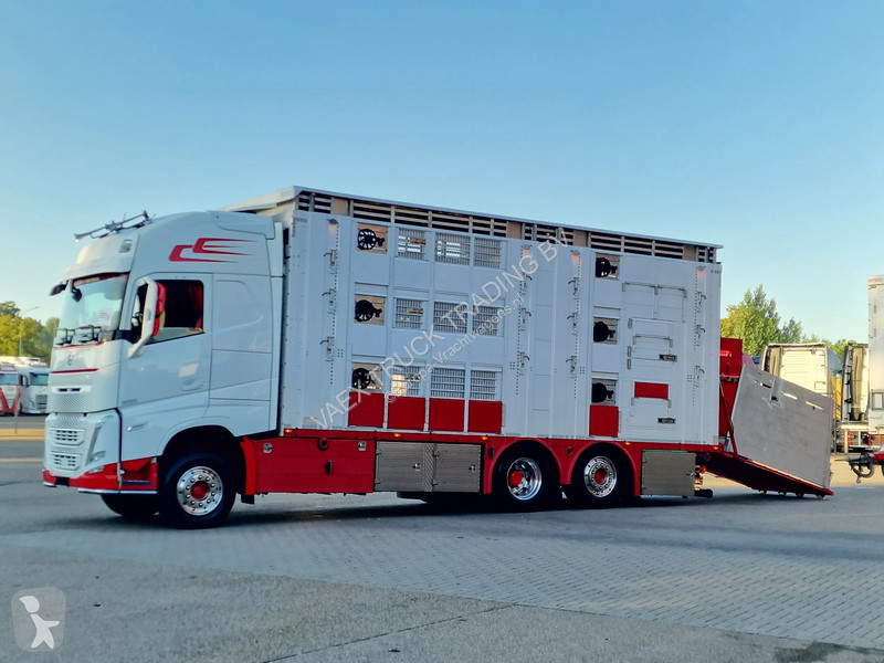 Kamion Volvo 13500 XL 6x2 - Pezzaioli livestock...
