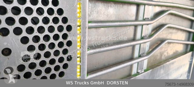 Lastbil MAN TGX XL KABA  3 Stock Viehtransporter