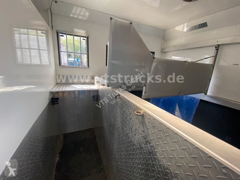 شاحنة Mercedes 818 Pferdetransporter