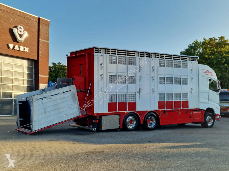 Kamion Volvo 13500 XL 6x2 - Pezzaioli livestock...