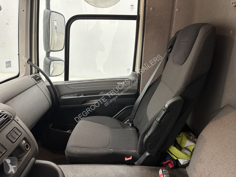 Camion DAF 290