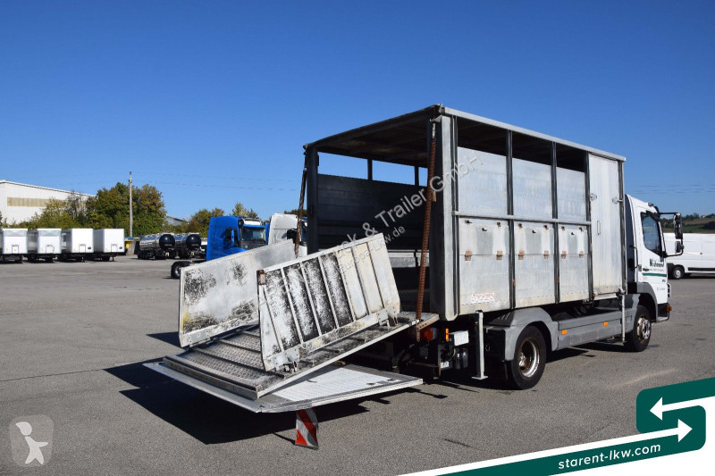Lastbil Mercedes 815 BDF-Viehaufbau + Kühlaufbau