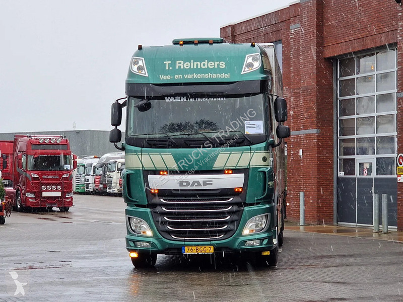 شاحنة DAF 440 SuperSpaceCab 6x2*4 - Cuppers...